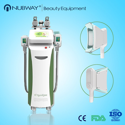 美装置の cryolipolysis の涼しい形成機械を細くする Cryolipo