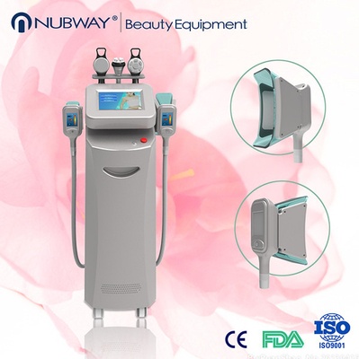 美装置を細くする Cryolipolysis 機械 2014/Cryolipolysis ボディ